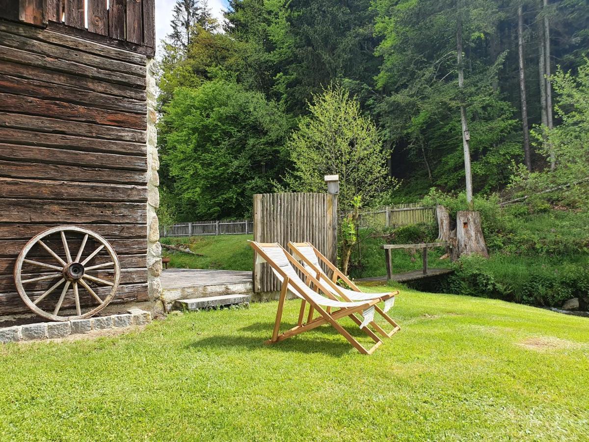 Naturidyll Kollnbergmuehle Furstenstein Экстерьер фото