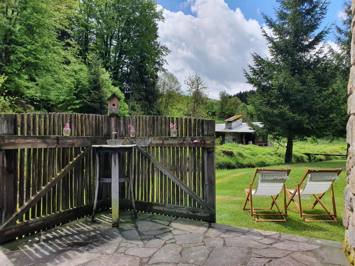 Naturidyll Kollnbergmuehle Furstenstein Экстерьер фото