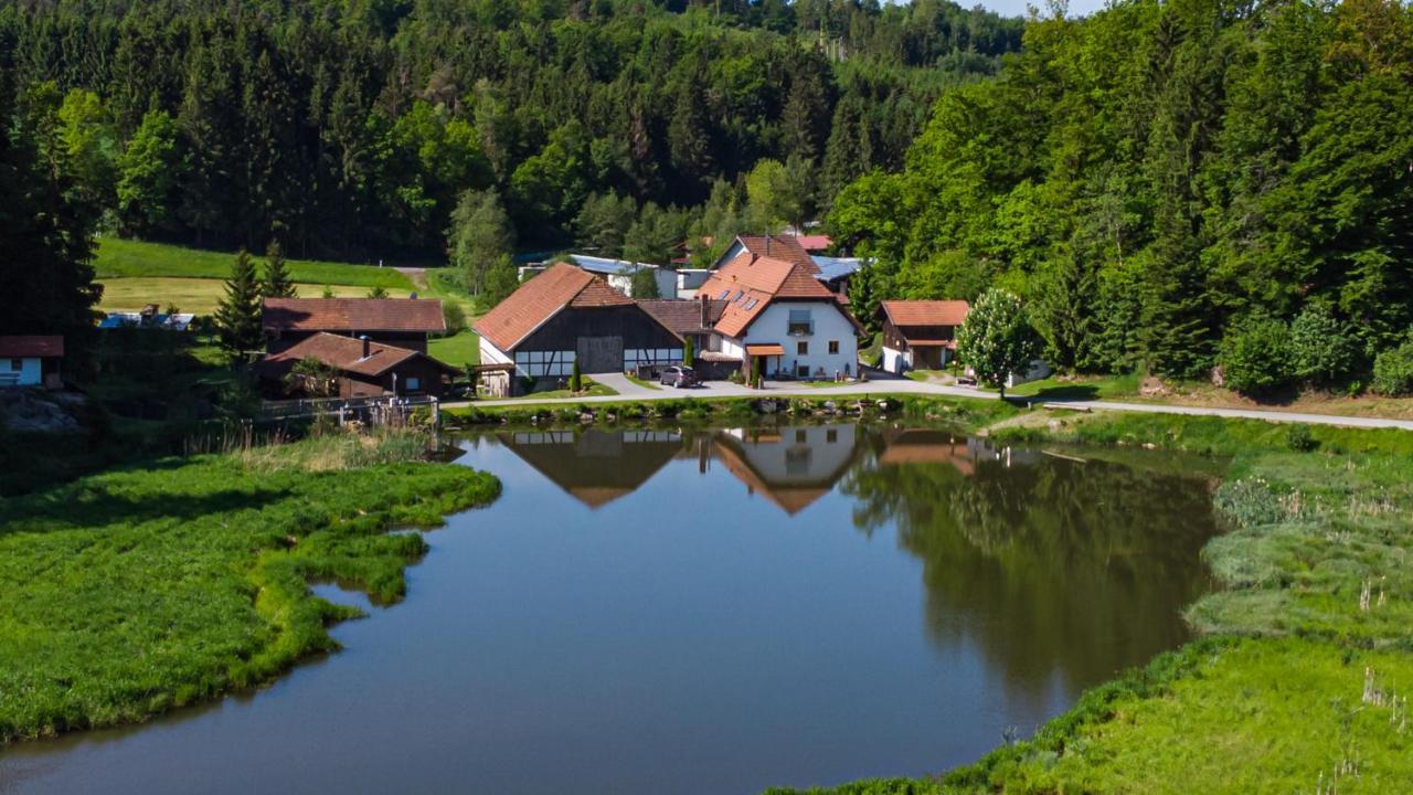 Naturidyll Kollnbergmuehle Furstenstein Экстерьер фото